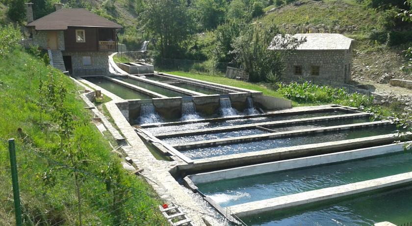 Etno Selo Vrelo & Camping Affittacamere Berane Esterno foto